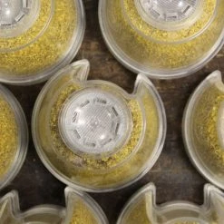 Speakman Hotel Anystream 2.0 GPM Pure Multi-Function Shower Head with Filter Cartridge -Kohler Shop fs 1 alt4 3005B25D