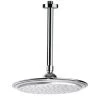 Nameeks Remer Collection 2.5 GPM Single Function Rain Shower Head