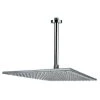 Nameeks Remer Collection 2.5 GPM Single Function Rain Shower Head -Kohler Shop nameeks remer 347n 359ssxl