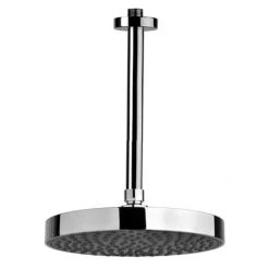 Nameeks Remer Collection 2.5 GPM Single Function Rain Shower Head
