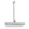 Nameeks Remer Collection 2.5 GPM Single Function Rain Shower Head