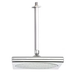 Nameeks Remer Collection 2.5 GPM Single Function Rain Shower Head