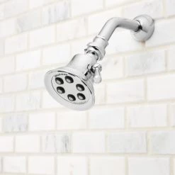 Speakman Signature Brass 1.75 GPM Multi Function Shower Head -Kohler Shop speakman s 2254 e175 alt image 52