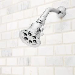 Speakman Signature Brass 2.0 GPM Multi-Function Shower Head -Kohler Shop speakman s 2254 e2 alternative view 119