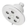 Speakman Chelsea 2.5 GPM Multi Function Anystream Shower Head -Kohler Shop speakman s 3011 8481561