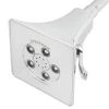 Speakman Rainier 1.75 GPM Multi Function Shower Head -Kohler Shop speakman s 3018 e175 3142054