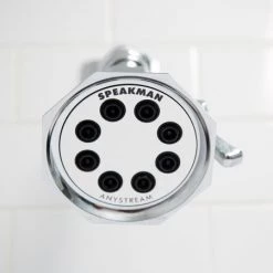 Speakman Signature Brass 2.5 GPM Multi Function Shower Head -Kohler Shop speakman s 3019 alternative view 166